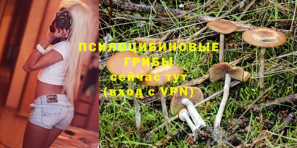 дурь Аркадак