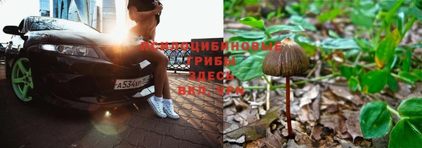 метадон Армянск