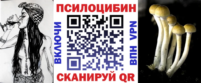что такое   Дыгулыбгей  Псилоцибиновые грибы Magic Shrooms 